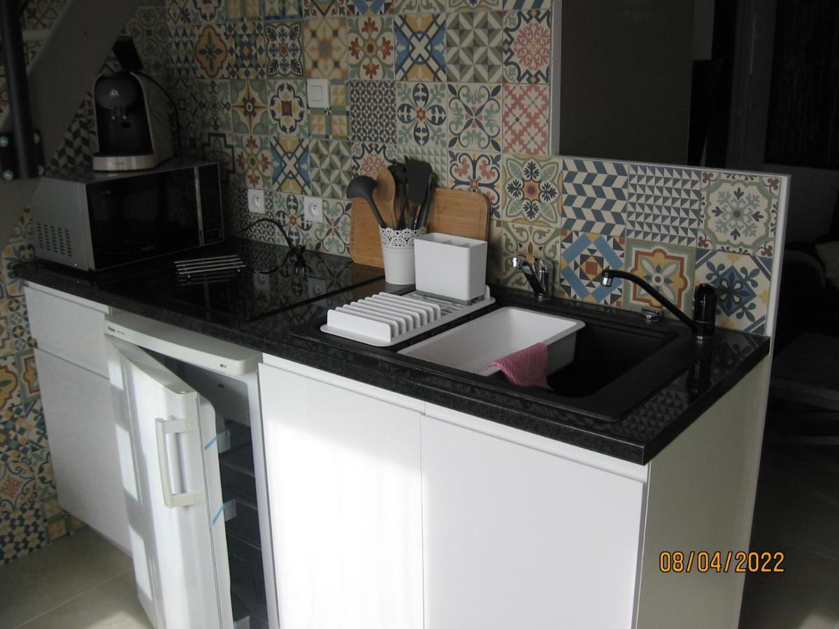 Appartement Avec Chambre En Mezzanine 罗尼亚克 外观 照片