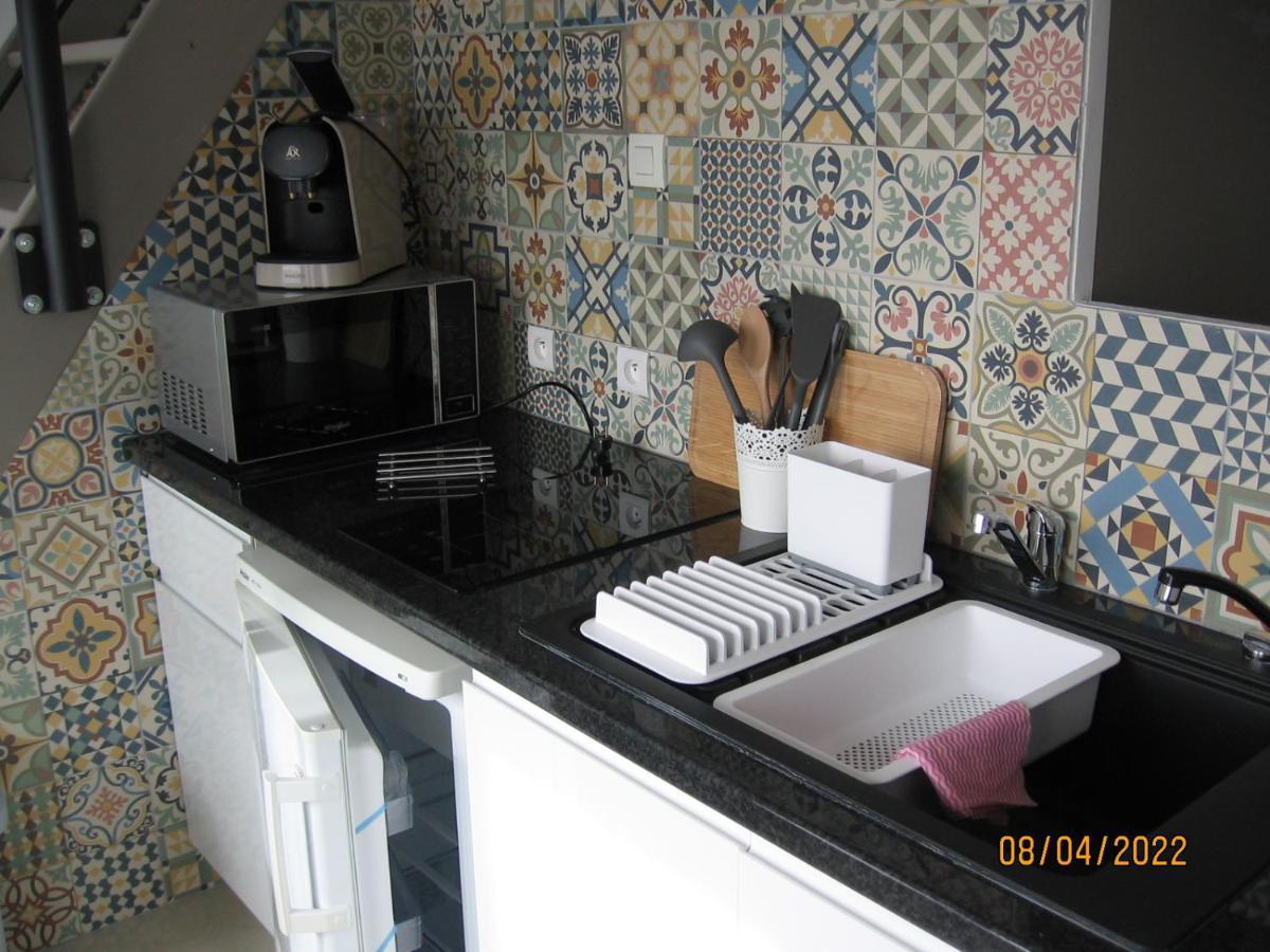 Appartement Avec Chambre En Mezzanine 罗尼亚克 外观 照片