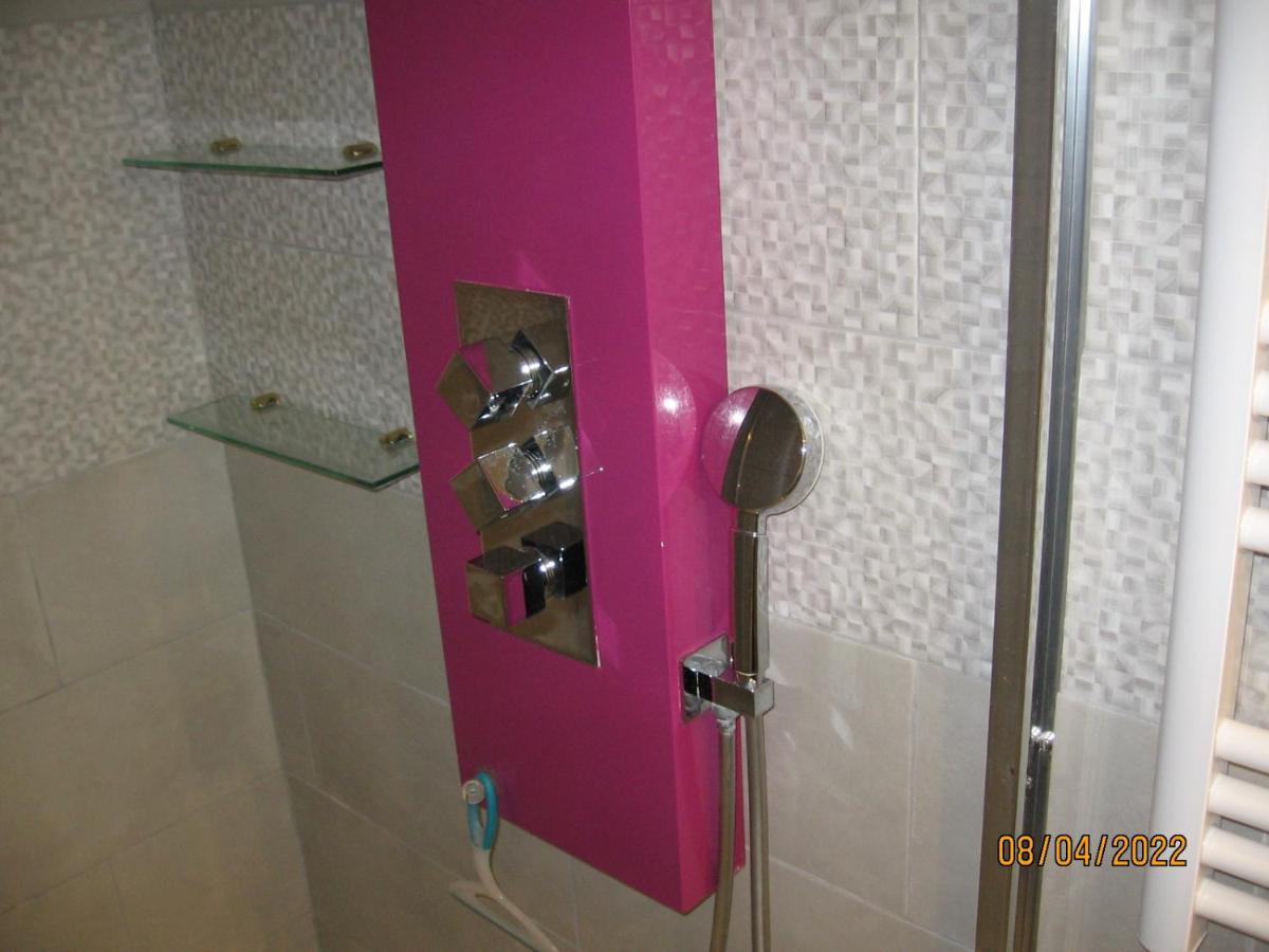 Appartement Avec Chambre En Mezzanine 罗尼亚克 外观 照片